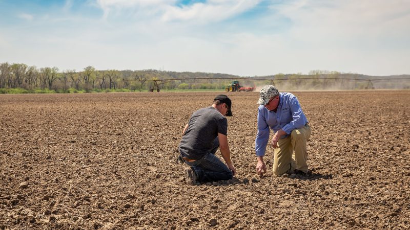 Revalorización de activos agrícolas en el escenario contemporáneo thumbnail