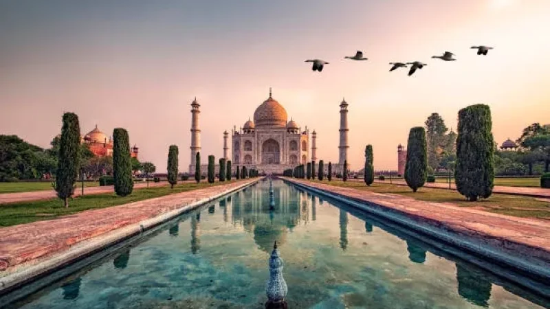 Nuevo socio al indo-pacífico: la India como socio del balance de poder thumbnail